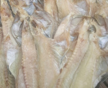 자연산 반건조우럭(1kg)구이용35000원배송비10000원 소금간되있어요2개이상주문가능합니다.배송기간3~4일걸립니다